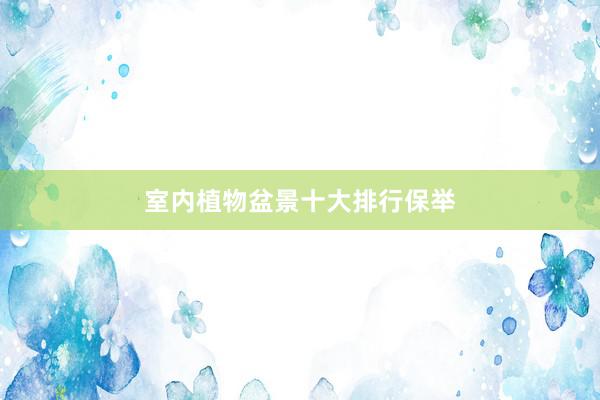 室内植物盆景十大排行保举