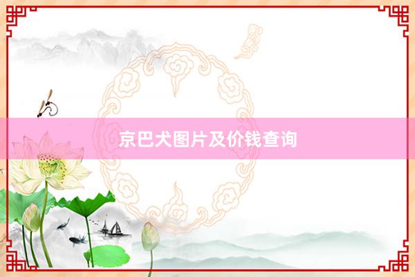 京巴犬图片及价钱查询