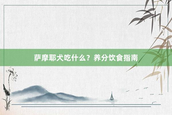 萨摩耶犬吃什么？养分饮食指南
